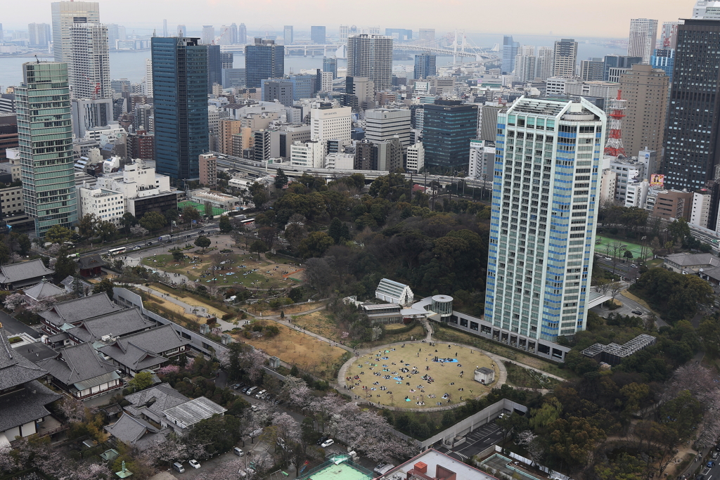 東京タワー・２