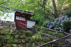 長谷寺・２