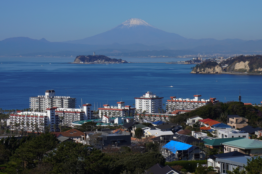 披露山公園から