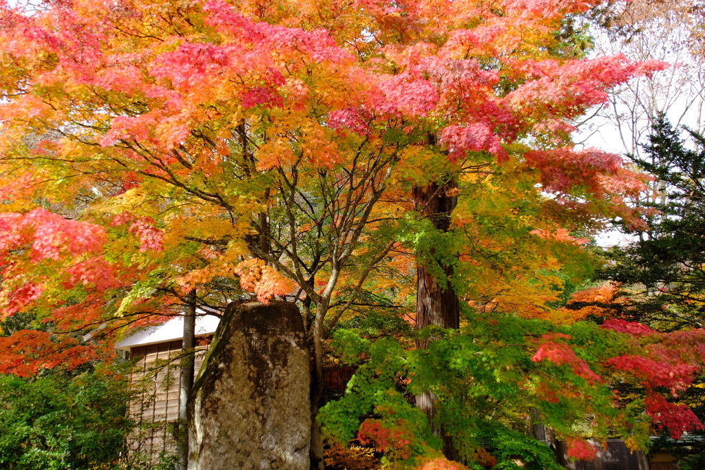 古峯神社・２