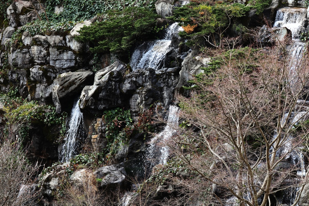 熱海梅園・４