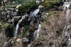 熱海梅園・４