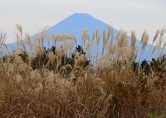 十国峠