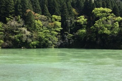 阿賀野川
