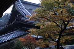 雨の永平寺・２