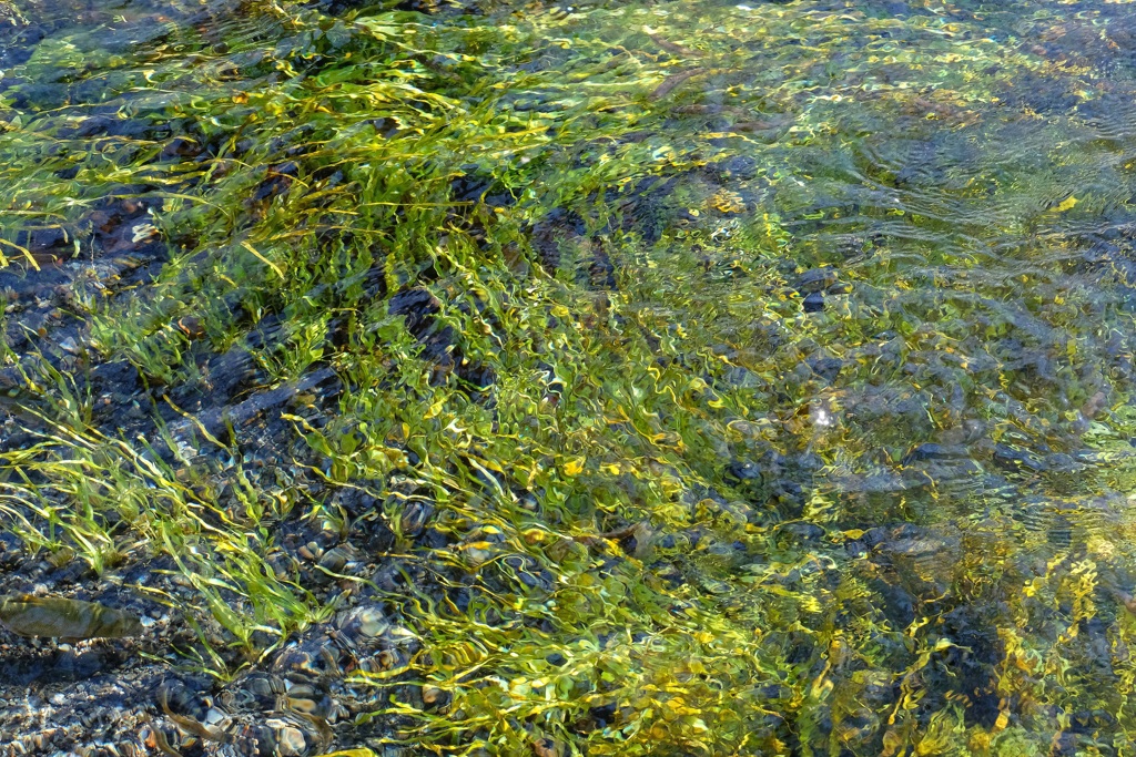 忍野八海