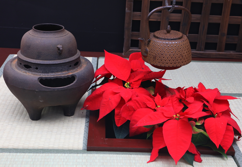 おめでとうございます