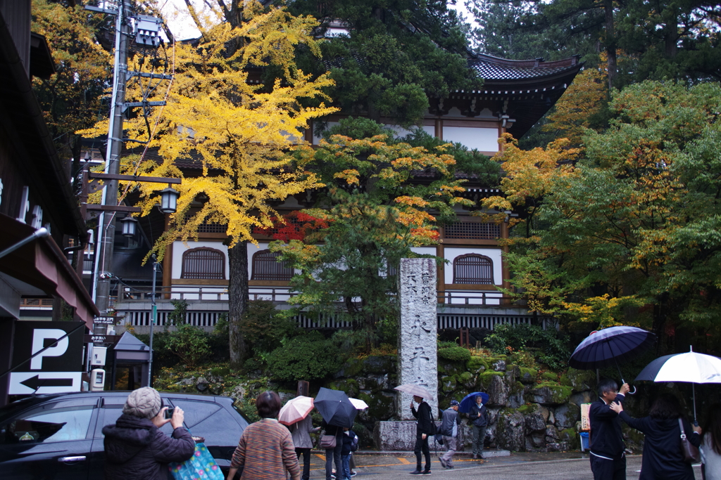 雨の永平寺・１