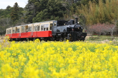小湊鉄道・２