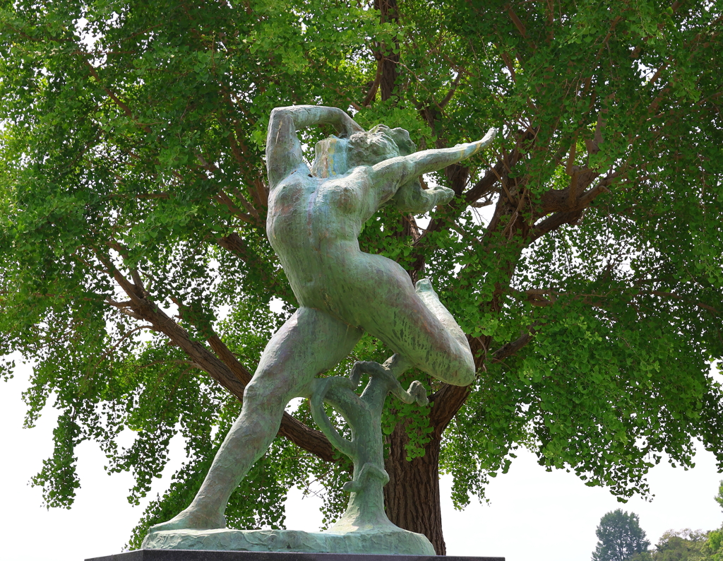 水元公園・３