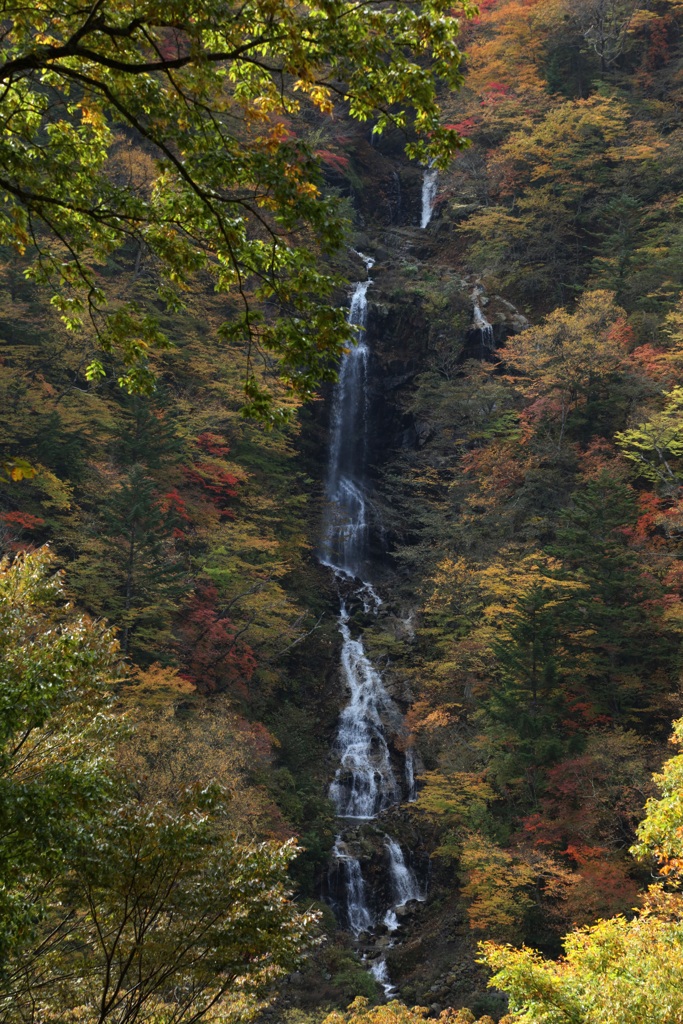 日光市蛇王の滝