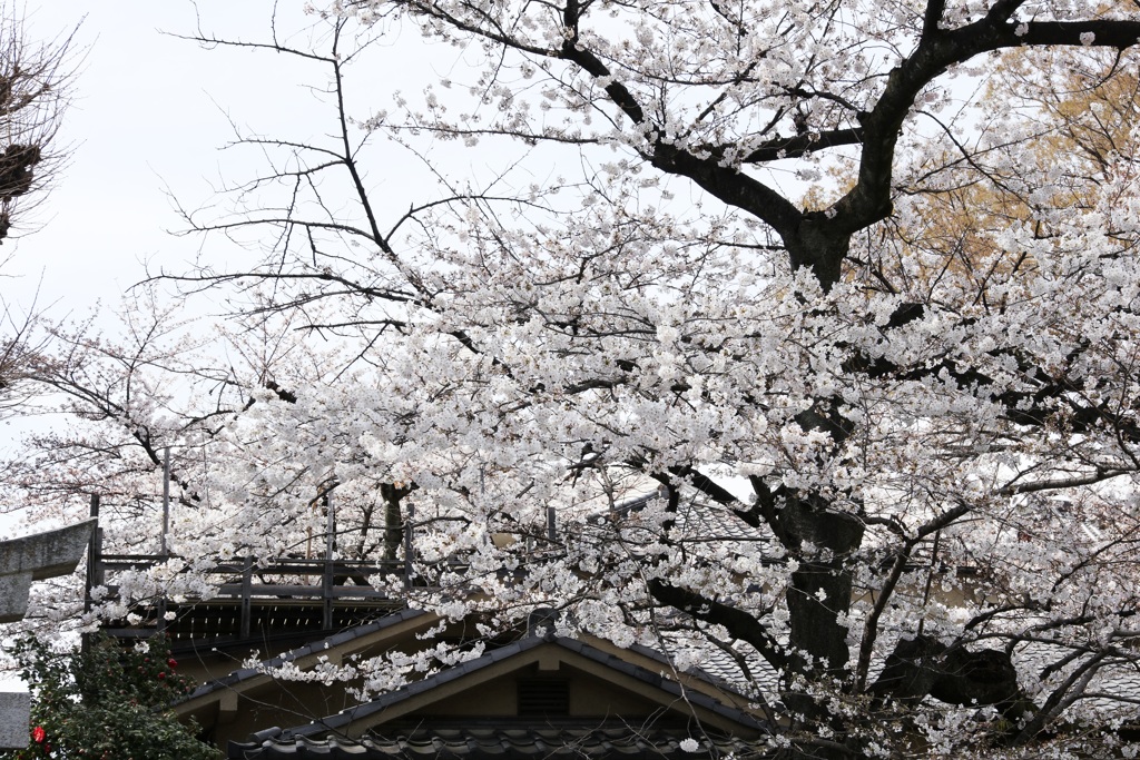 上野公園