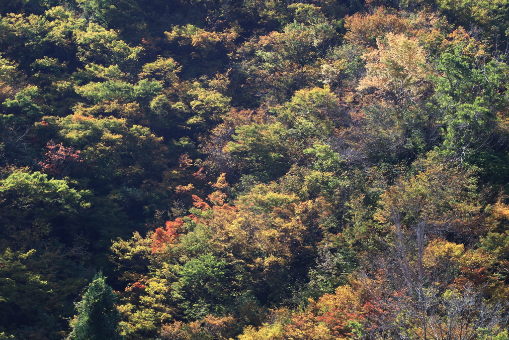 八海山・４