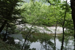 上高地（３）