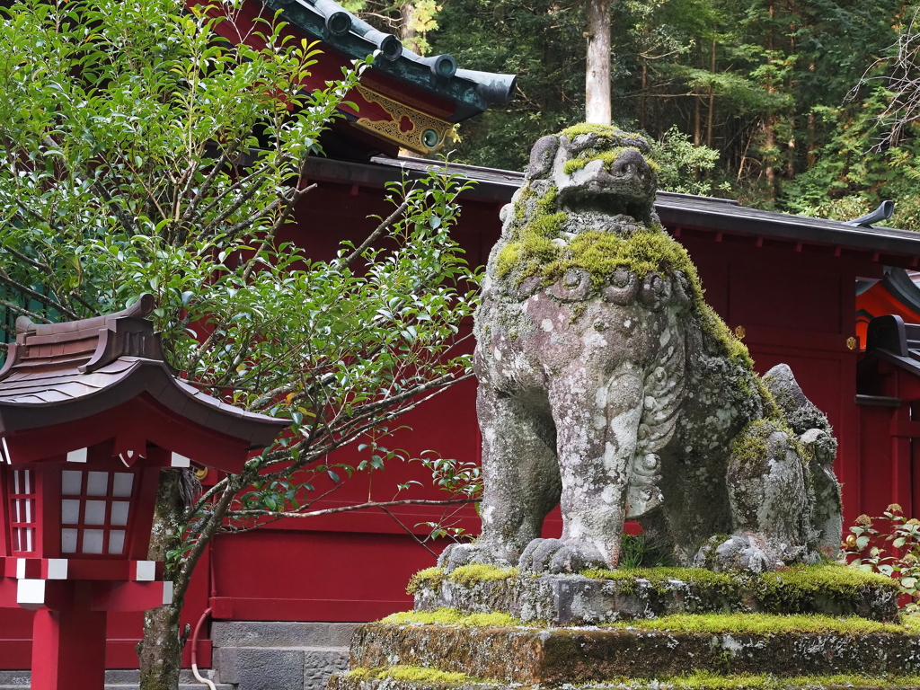 箱根神社