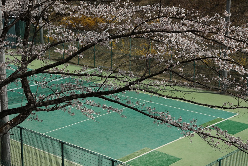 船岡城址公園・２