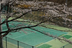 船岡城址公園・２