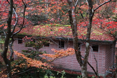 弥彦公園・８