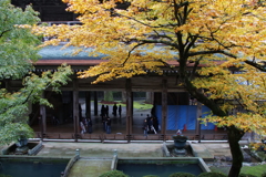 雨の永平寺・８
