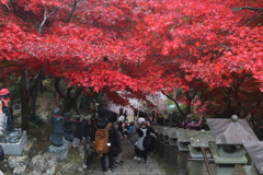 丹沢大山・２