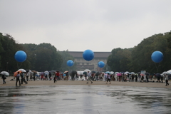 上野公園雨・３