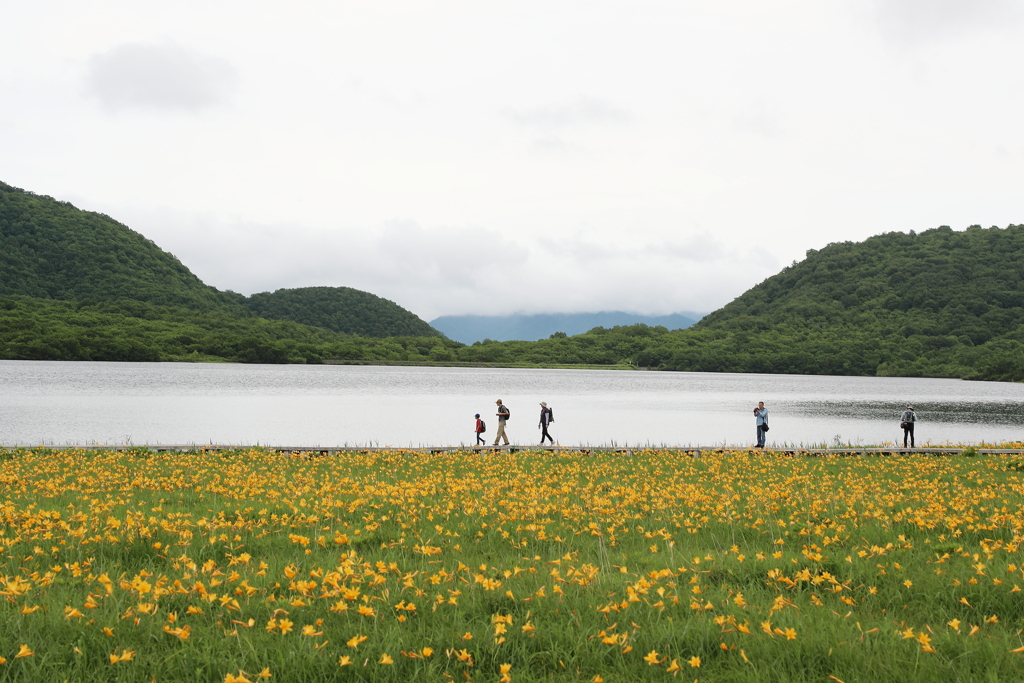 雄国沼・２