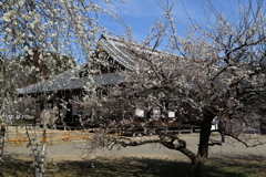 水戸弘道館・３