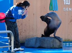 仙台うみの杜水族館・１