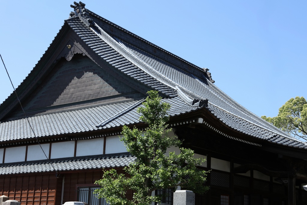 大屋根