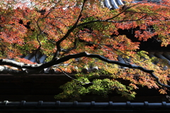 足利学校・２