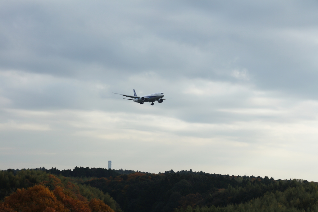 成田空港ー３