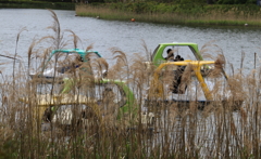 昭和記念公園ー６