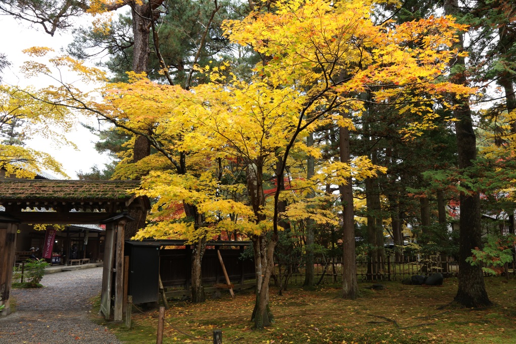 新発田市清水園ー１２