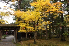 新発田市清水園ー１２