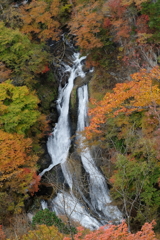 霧降の滝・３