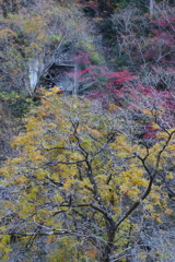 袋田の滝・２