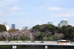 千鳥ヶ淵