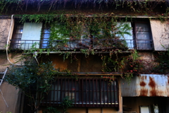 廃屋