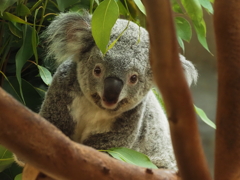 金沢動物園・２