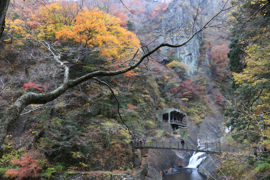 袋田の滝・２