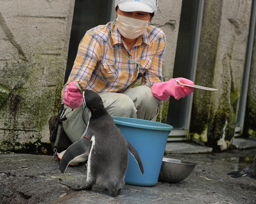 旭山動物園・４