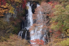 霧降の滝・上部