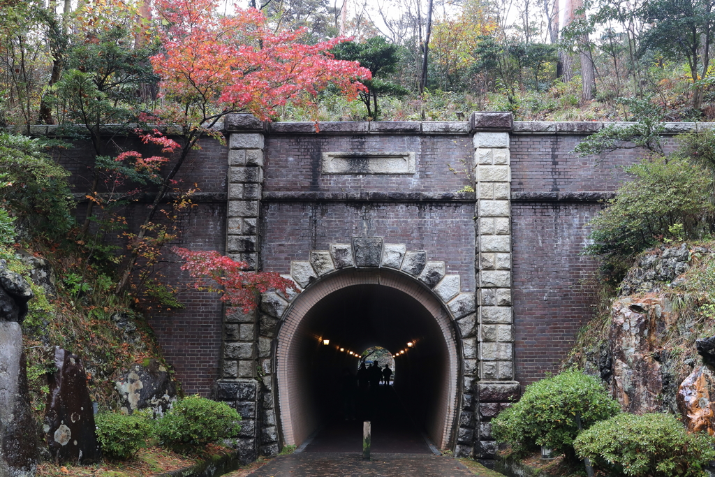弥彦公園・７
