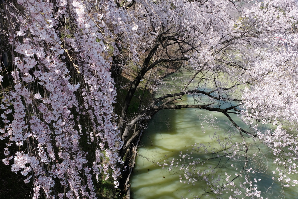 上田城・１