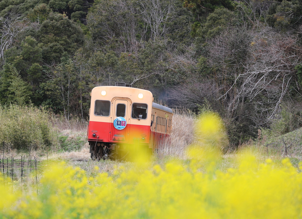小湊鉄道・１