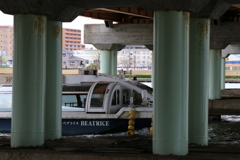 橋げたを通過する観光船