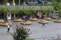 広場