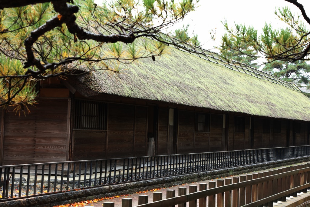新発田市清水園ー１５
