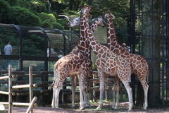 多摩動物公園ー７