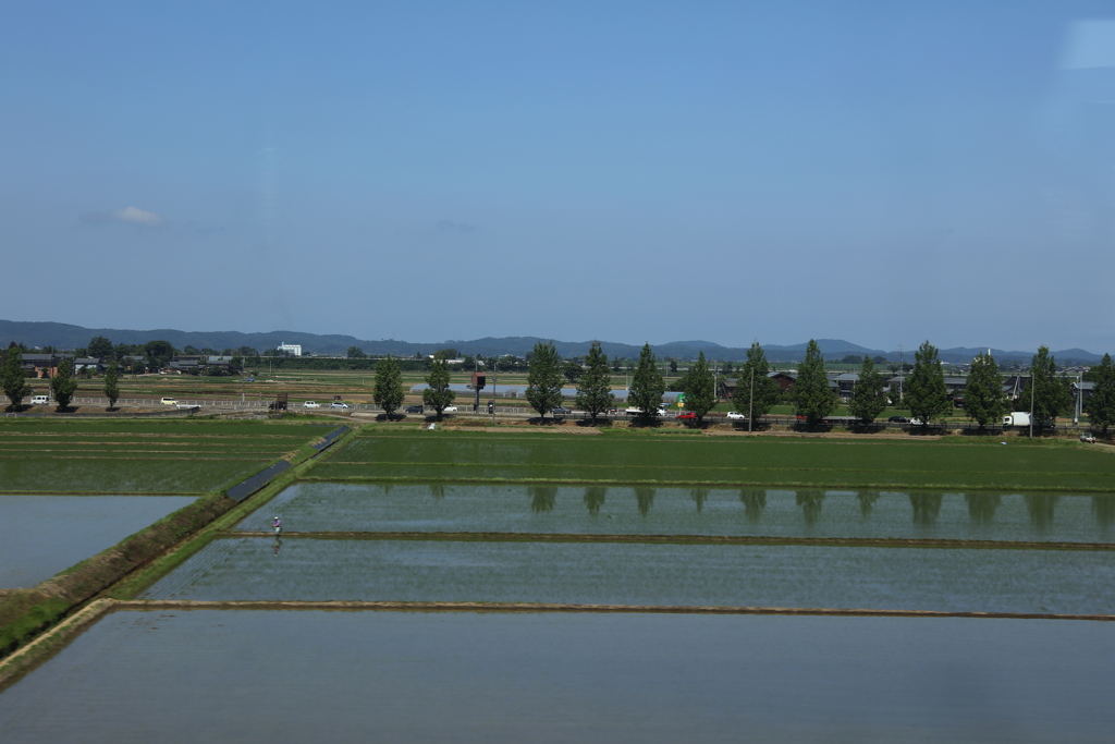 越後平野